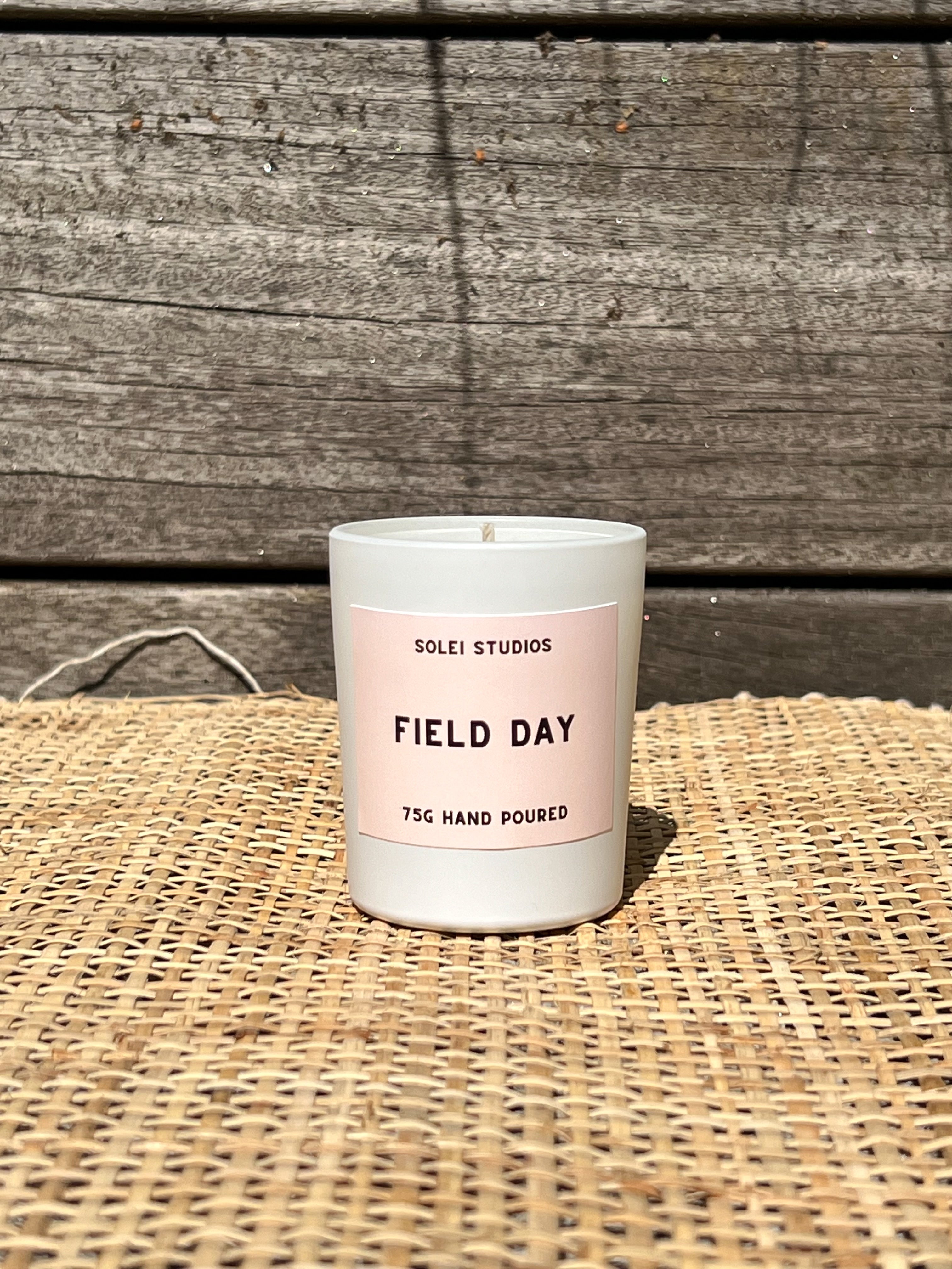 Mini Field Day