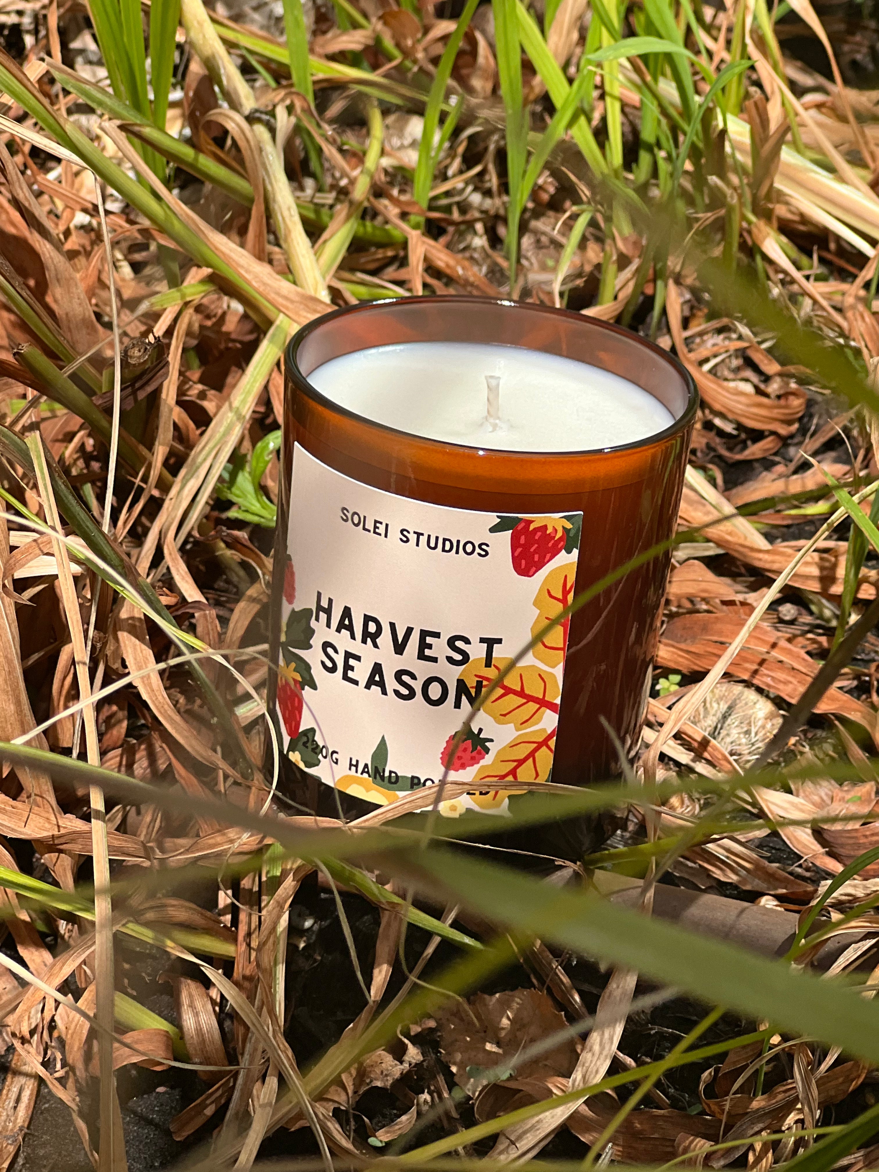 Harvest Season